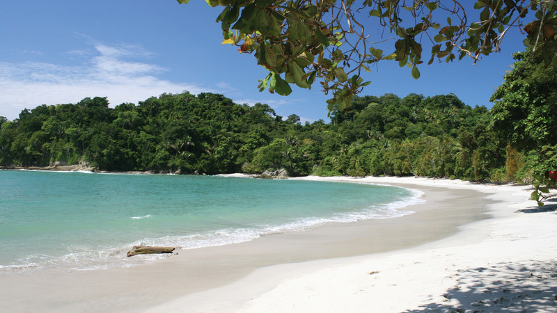 Tropical Holidays1